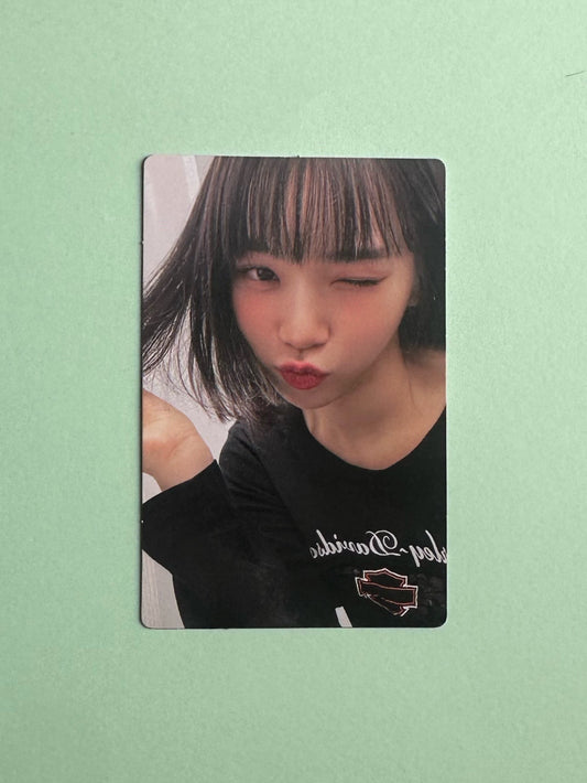 Chaewon - Fearnot - Welcome Gift  - Fan Club Photocard