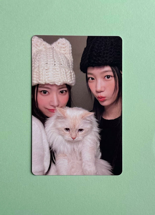 Unit - Sakura and Kazuha - Unforgiven - Weverse - Photocard