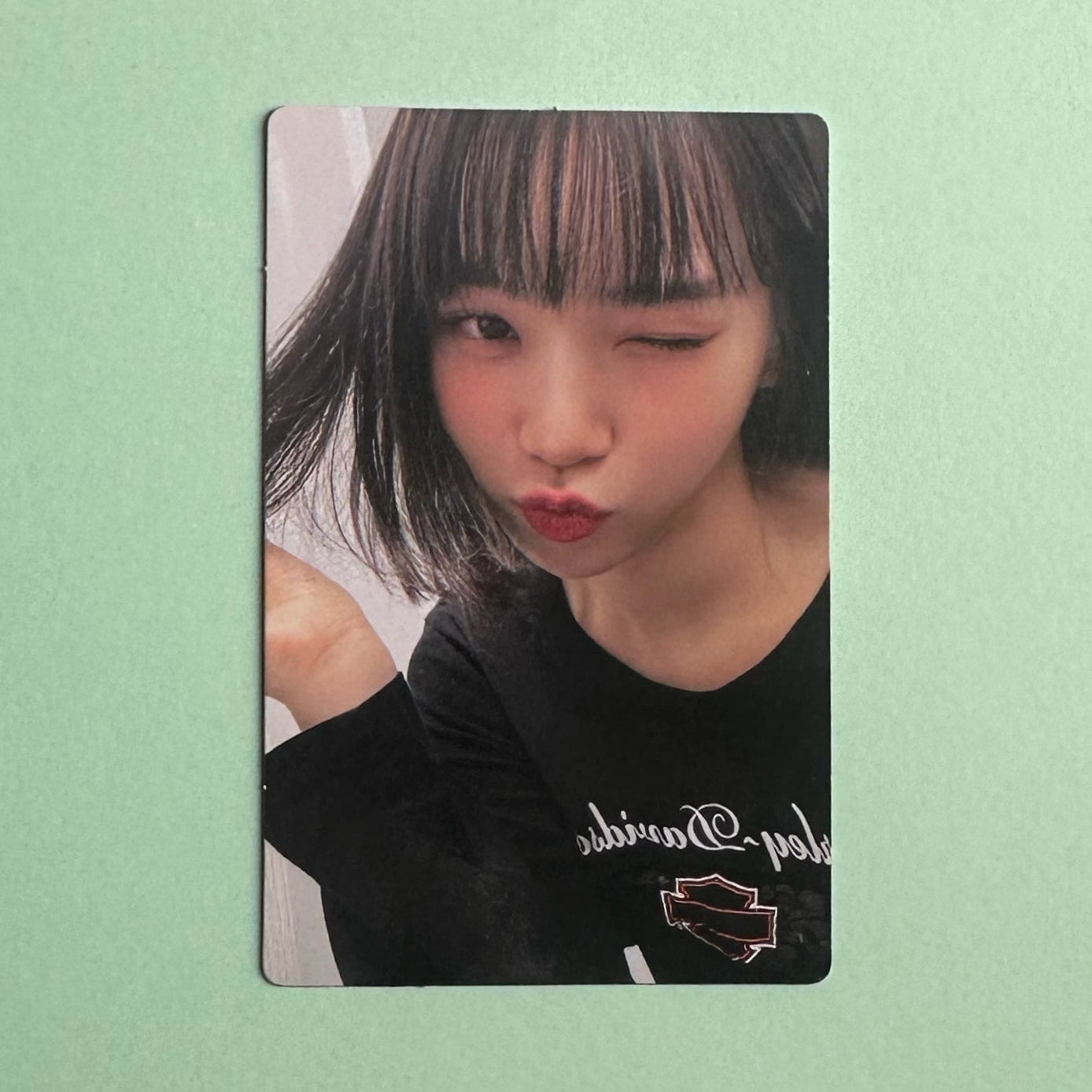 Le Sserafim Chaewon Fearnot Welcome Gift Fan Club Photocard official K-pop merch