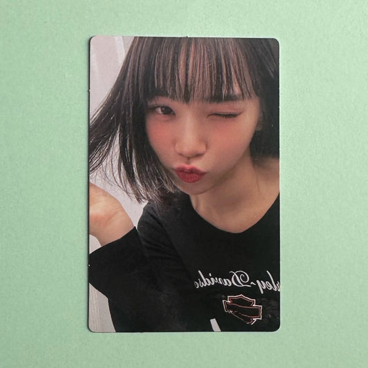 Le Sserafim Chaewon Fearnot Welcome Gift Fan Club Photocard official K-pop merch