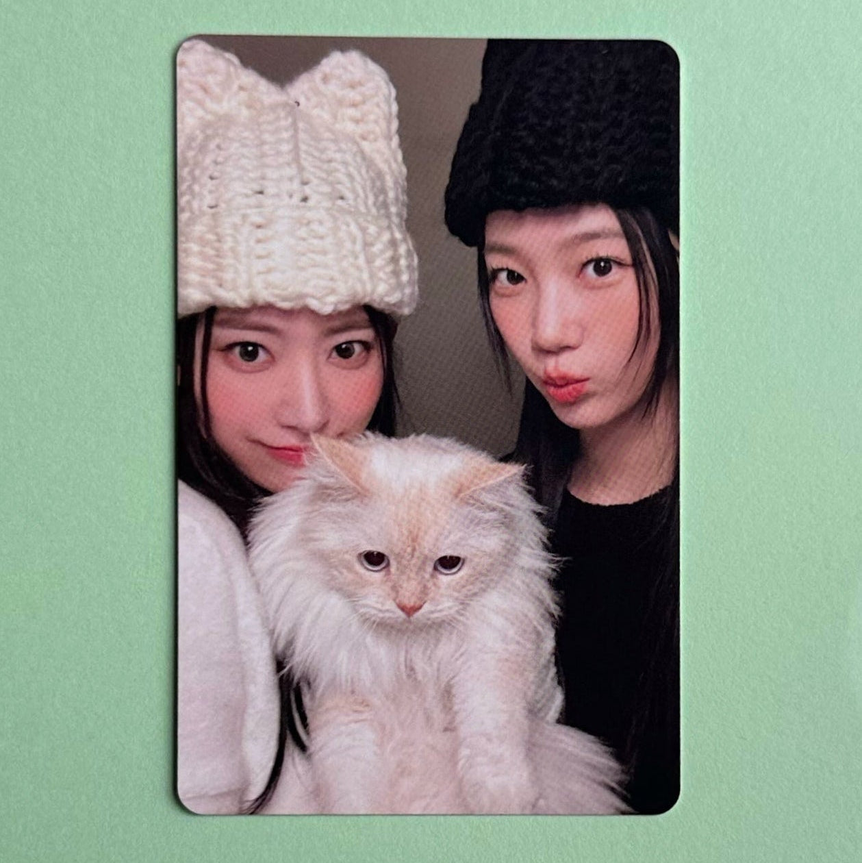 Le Sserafim Sakura Kazuha Unforgiven Weverse Photocard official K-pop merch