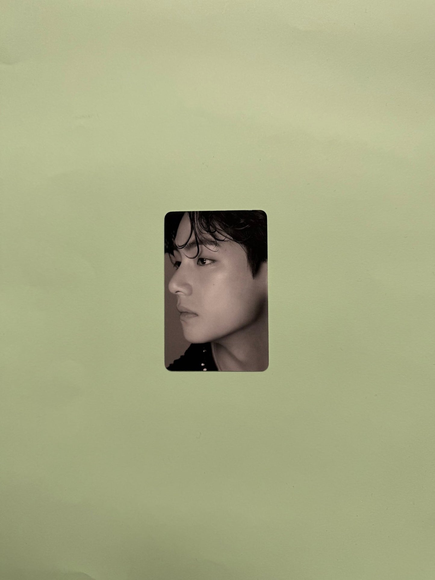 V - BTS - Dicon Festa - Photocard - Ginger RootPhotocard