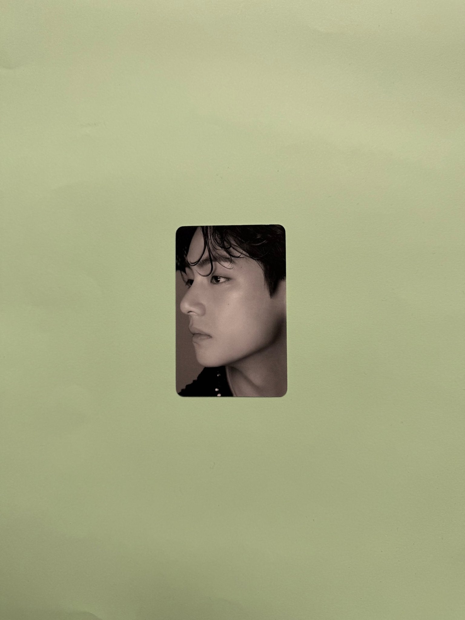 V - BTS - Dicon Festa - Photocard - Ginger RootPhotocard